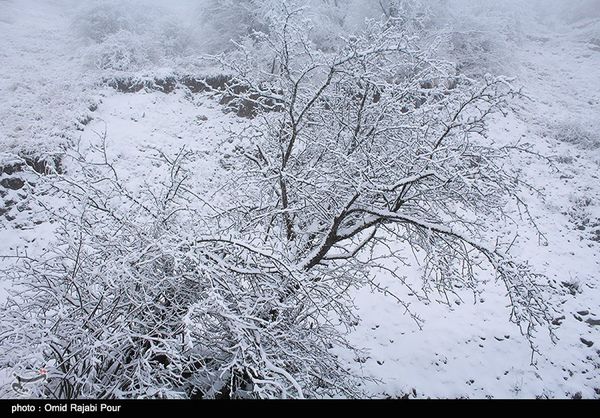 سرمای هوا تا جمعه در استان گستان ادامه دارد