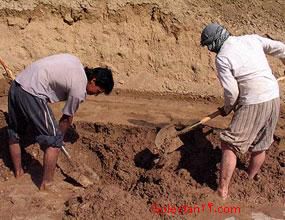 صدور کارت موقت ویژه اتباع افغانی