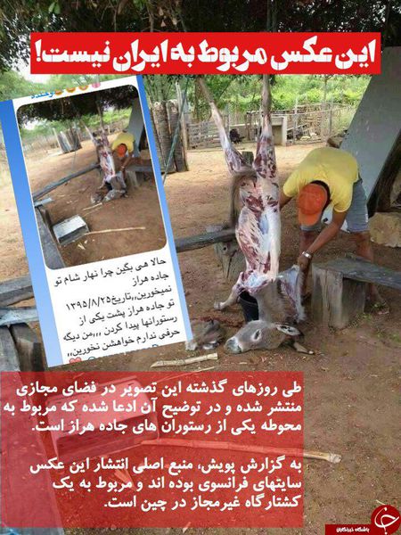 ماجرای گوشت الاغ در رستوران های بین راهی جاده هراز